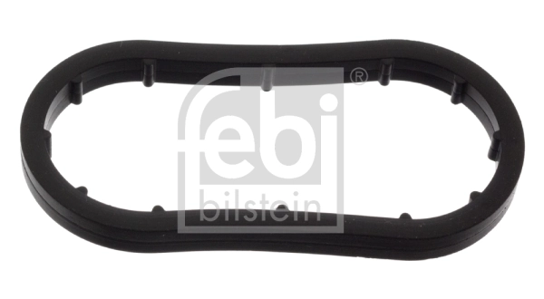 Gasket, oil cooler